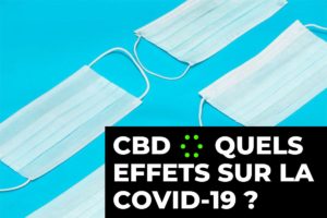 Lire la suite à propos de l’article Effets de la COVID-19 : Le CBD une alternative intéressante…?