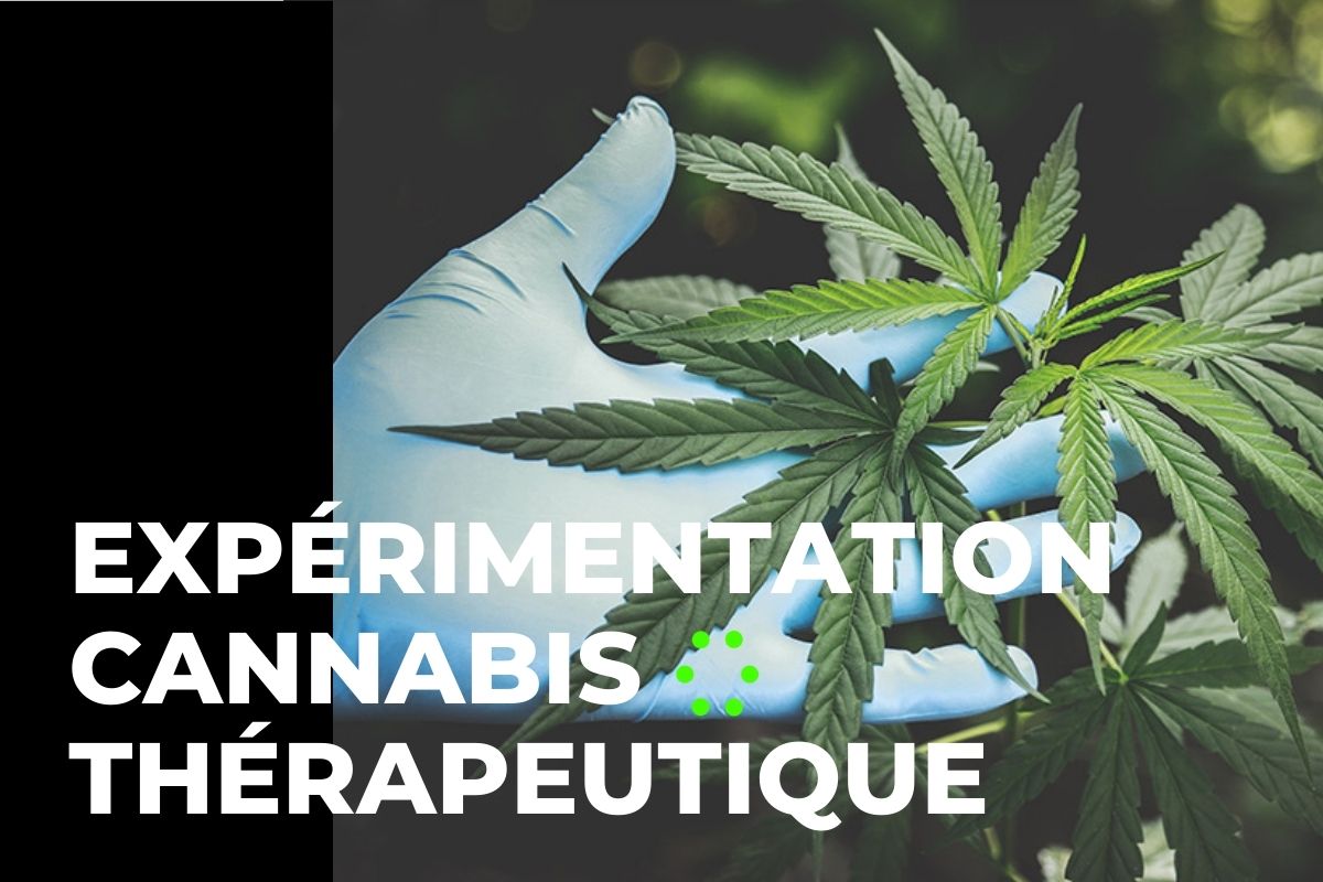 You are currently viewing L’expérimentation du cannabis thérapeutique : Une première en France