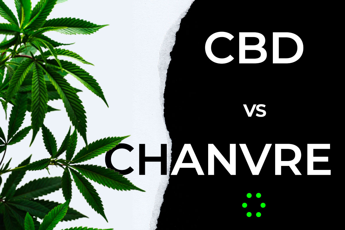 You are currently viewing CBD & Chanvre : y a-t-il une différence ? 
